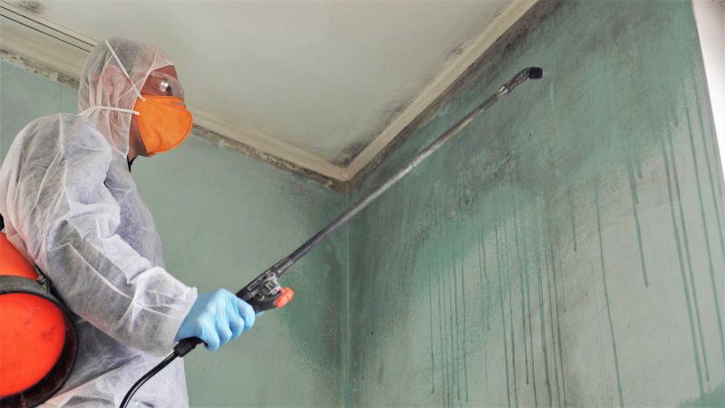 Basement Mold Removal in Frisco, TX