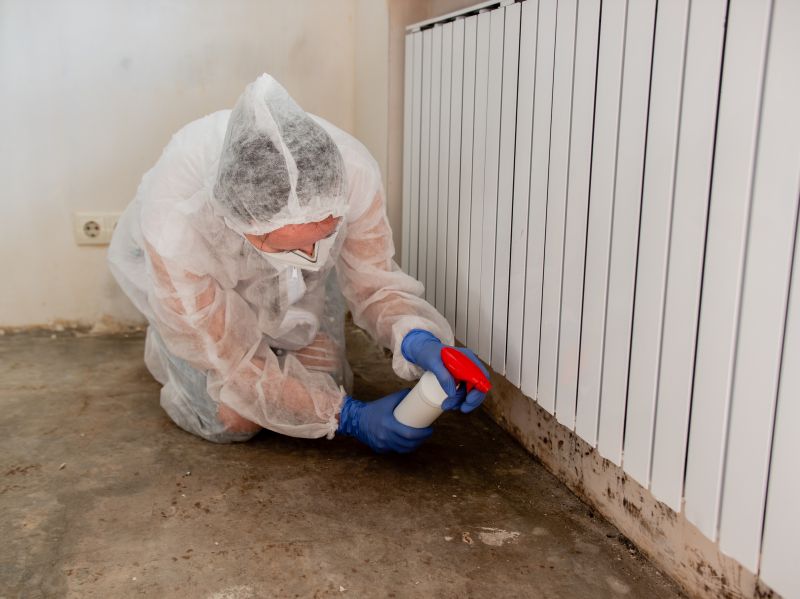 Black Mold Remediation in Bergen County, NJ