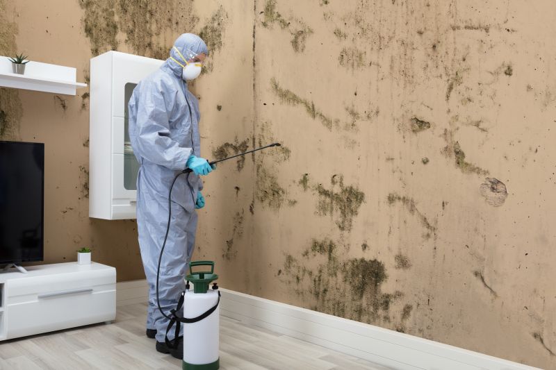 Black Mold Removal in Essex County, NJ