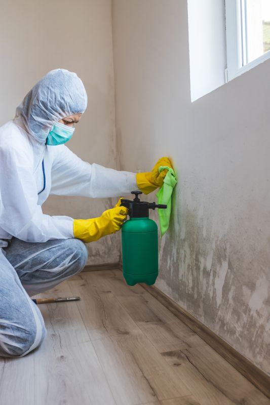 Garage Mold Remediation in Fort Worth, TX