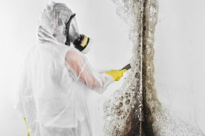 Mold Abatement in Bergen County, NJ
