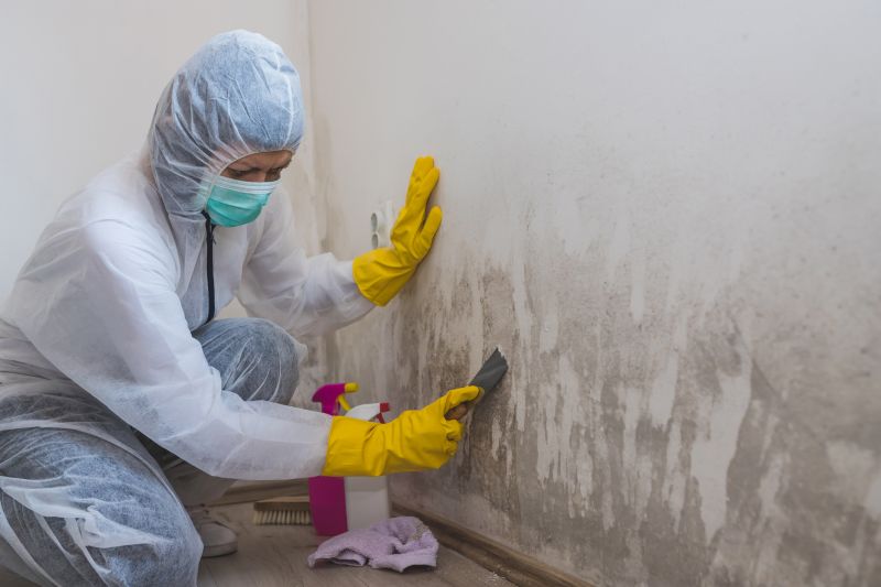 Mold Abatement Service in Dallas, TX
