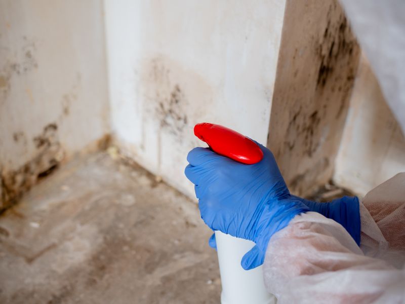 Mold Remediation Service in West Palm Beach, FL