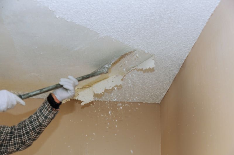 Vermiculite Removal Service in Somerset County, NJ