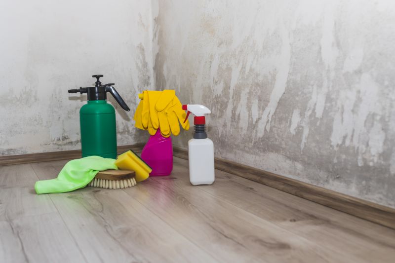 Attic Mold Removal in Boca Raton, FL