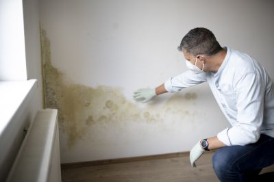 Crawlspace Mold Remediation in Fort Worth, TX